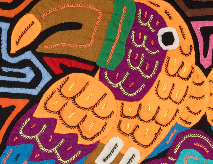 Two Gold And Blue Toucan Parrot Bird Mola