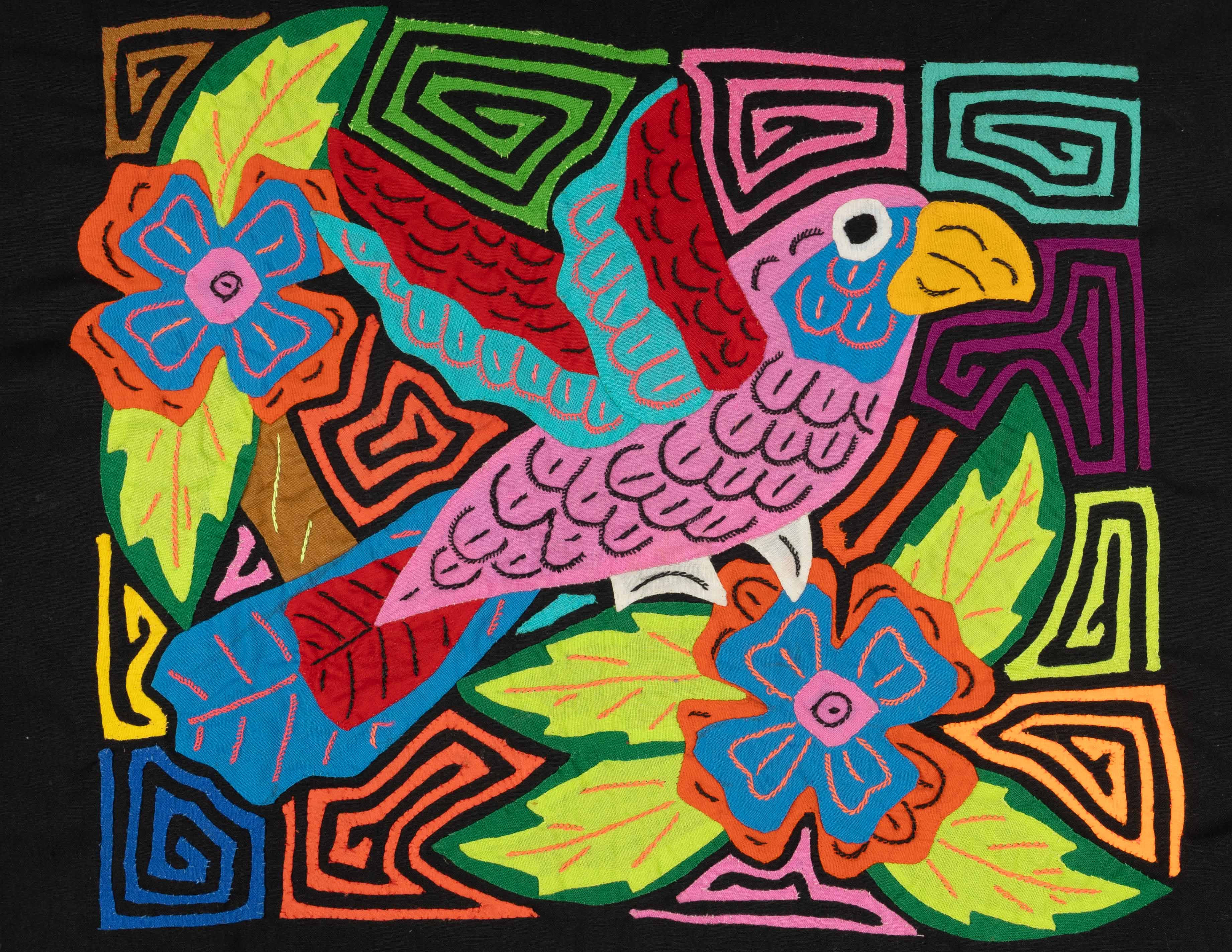 Pink Blue And Red Parrot Bird Mola
