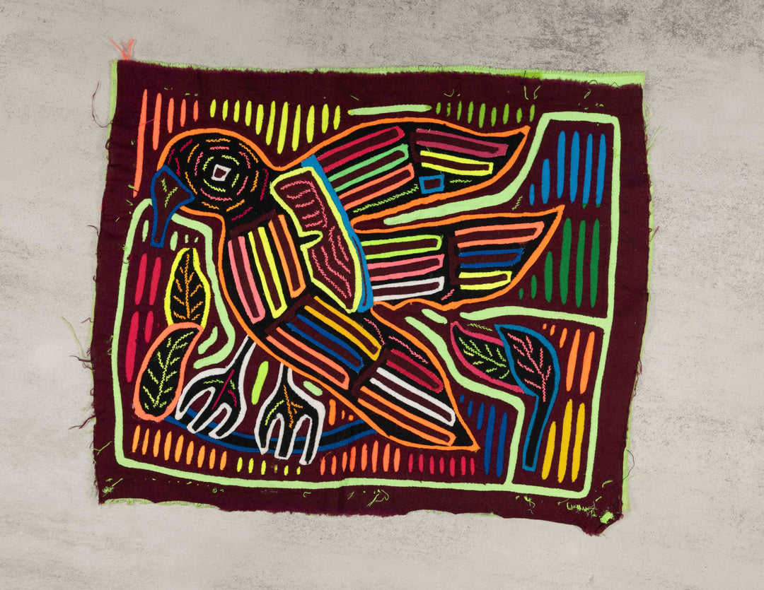 Rainforest Rainbow Parrot Bird Mola