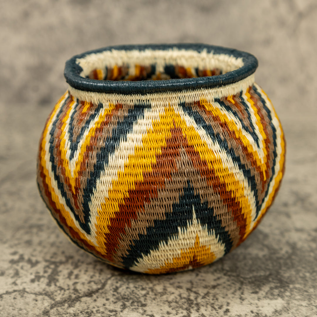 Small Rainbow Hand Woven Rainforest Basket