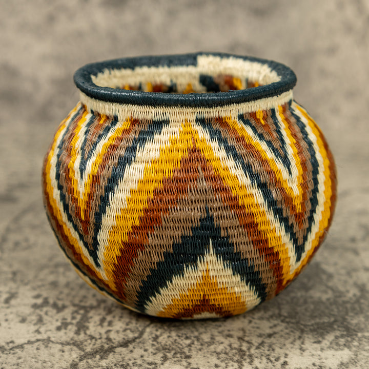 Small Rainbow Hand Woven Rainforest Basket