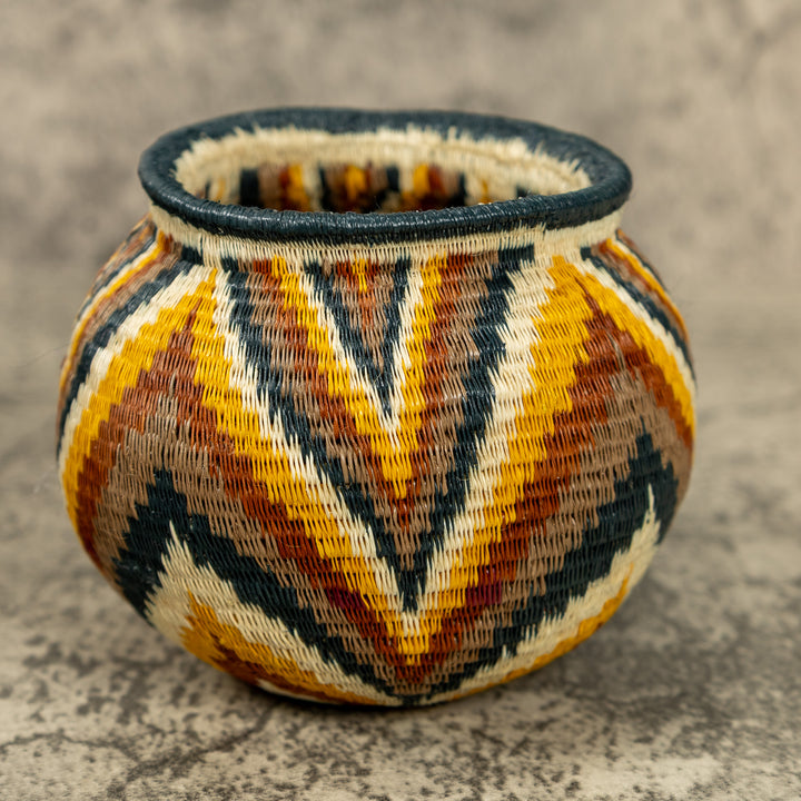 Small Rainbow Hand Woven Rainforest Basket