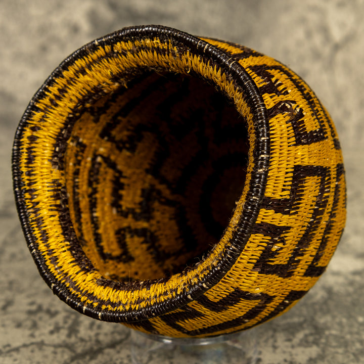 Gold And Black Hand Woven Rainforest Basket