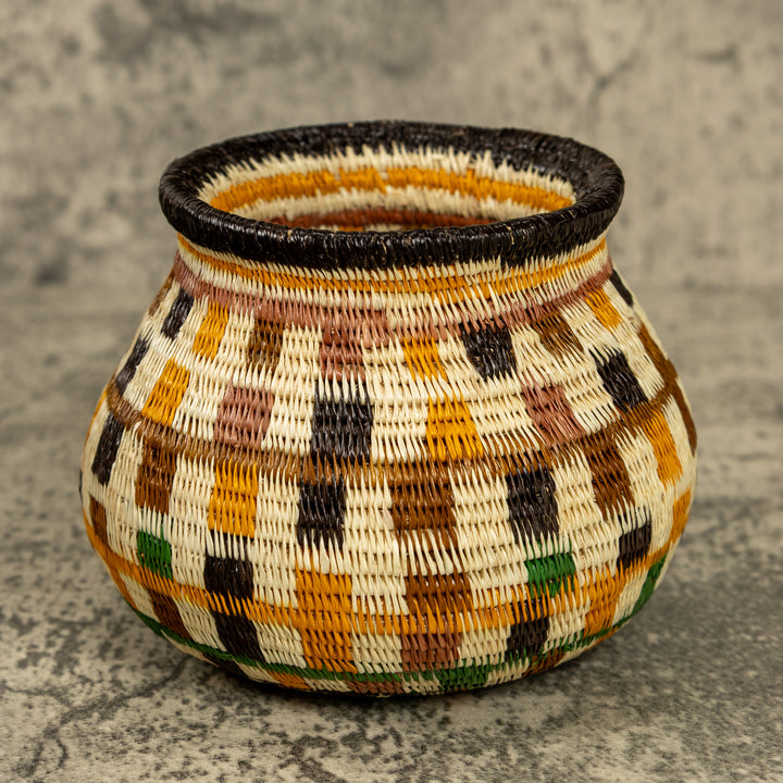Multicolor Hand Woven Rainforest Basket