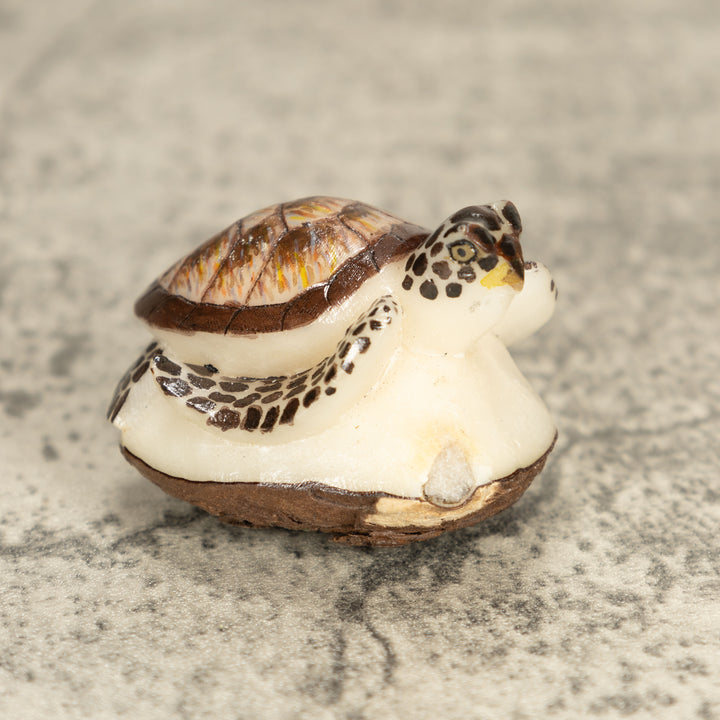 Sea Turtle Tagua Nut Carving