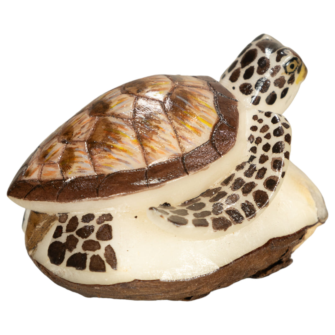 Sea Turtle Tagua Nut Carving