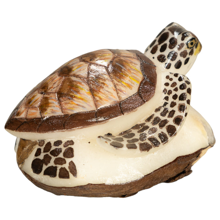 Sea Turtle Tagua Nut Carving