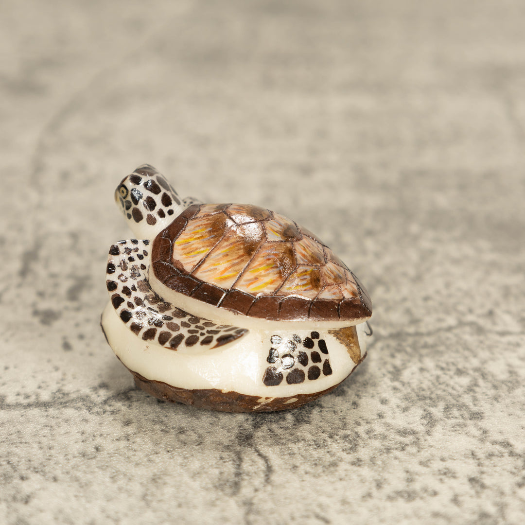 Sea Turtle Tagua Nut Carving