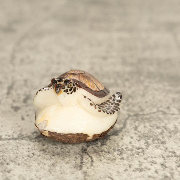 Sea Turtle Tagua Nut Carving