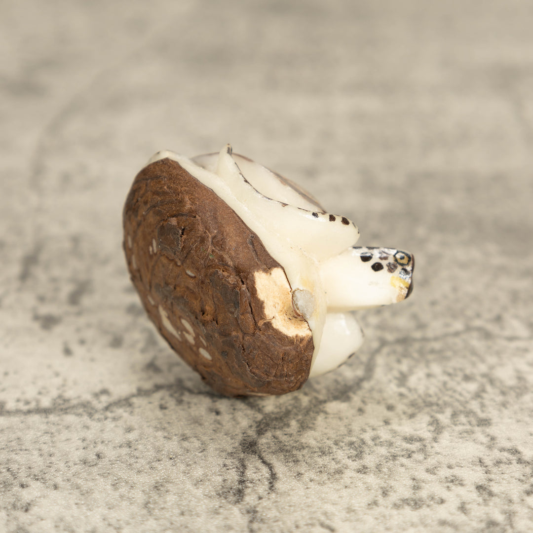 Sea Turtle Tagua Nut Carving