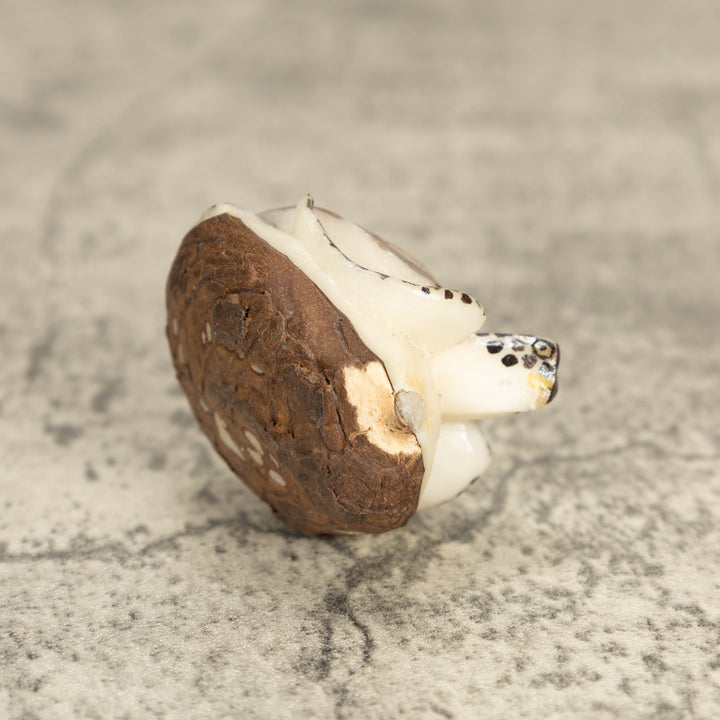 Sea Turtle Tagua Nut Carving