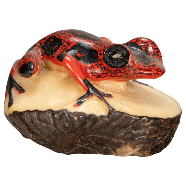 Vintage Poison Dart Tagua Nut Carving