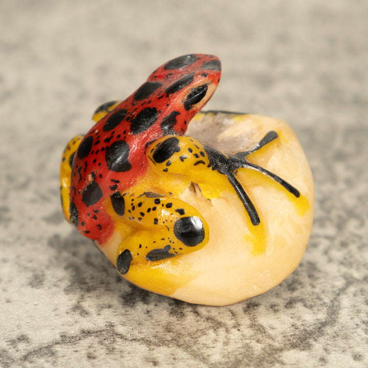 Vintage Poison Dart Tagua Nut Carving