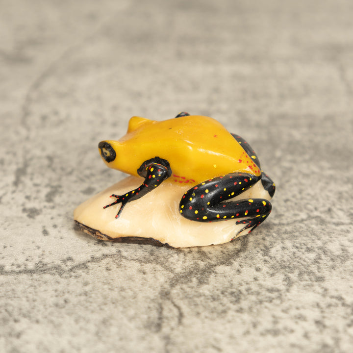 Vintage Poison Dart Tagua Nut Carving