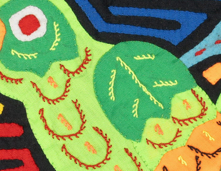 Green Parrot Bird Molita