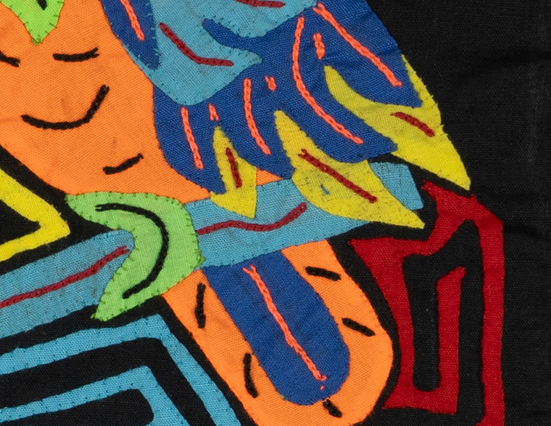 Multi-Color Parrot Bird Blue And Orange Molita