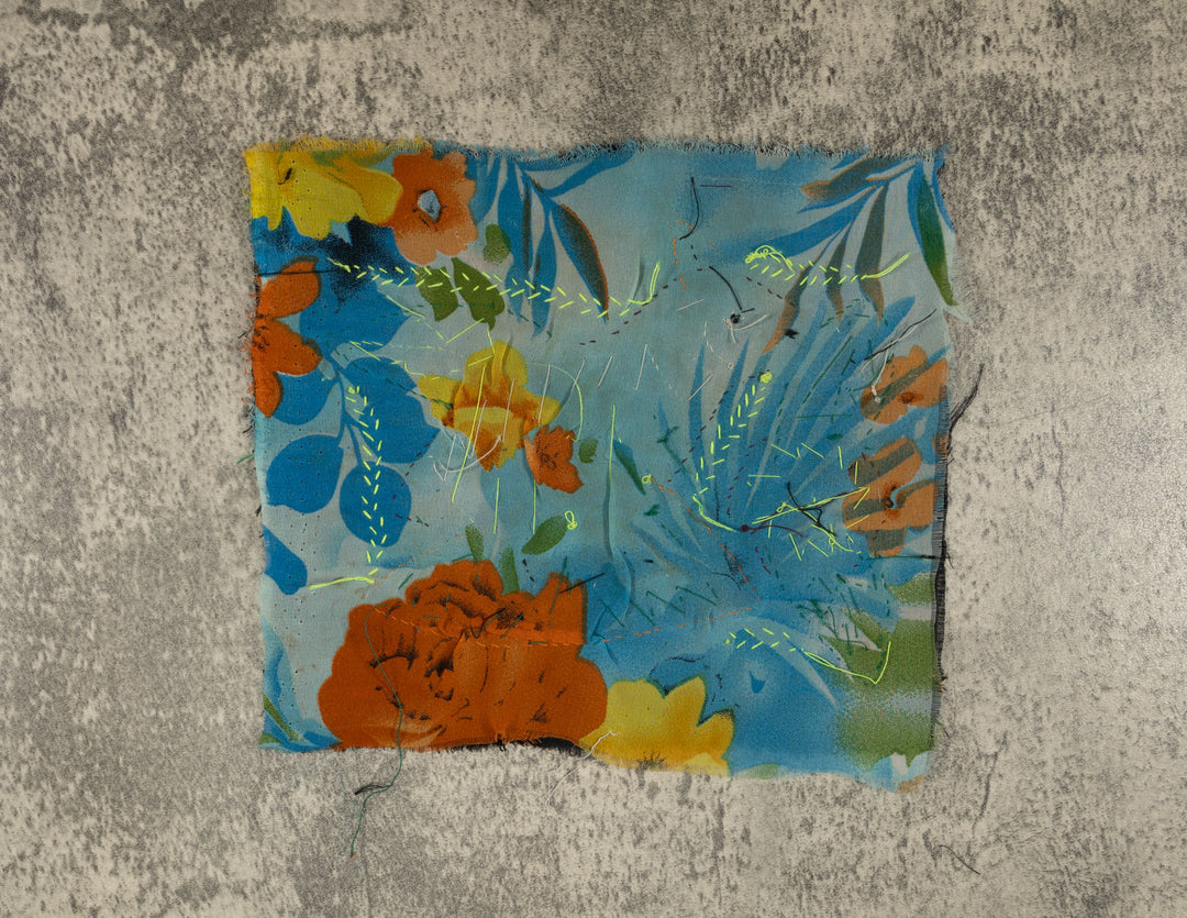 Multi-Color Parrot Bird Blue And Red Molita