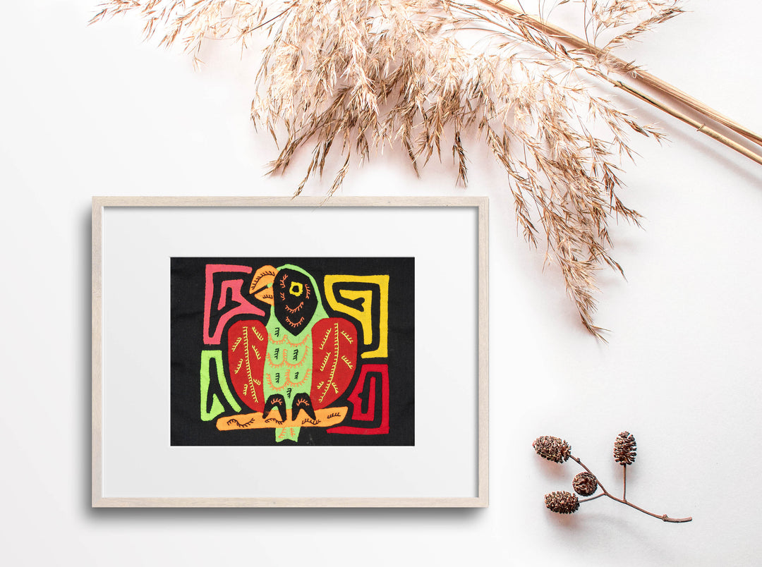 Red And Green Parrot Bird Molita