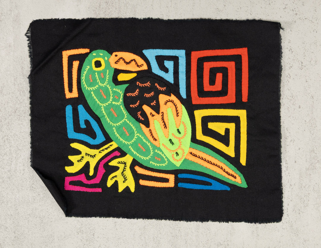 Green Parrot Bird Molita