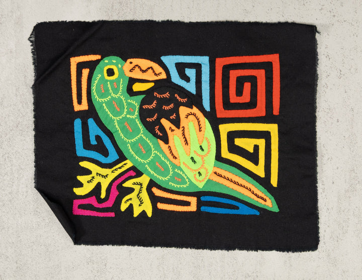 Green Parrot Bird Molita