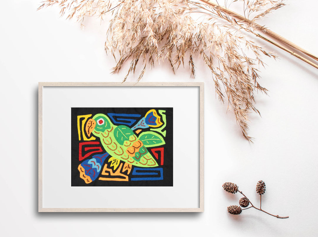 Green Parrot Bird Molita