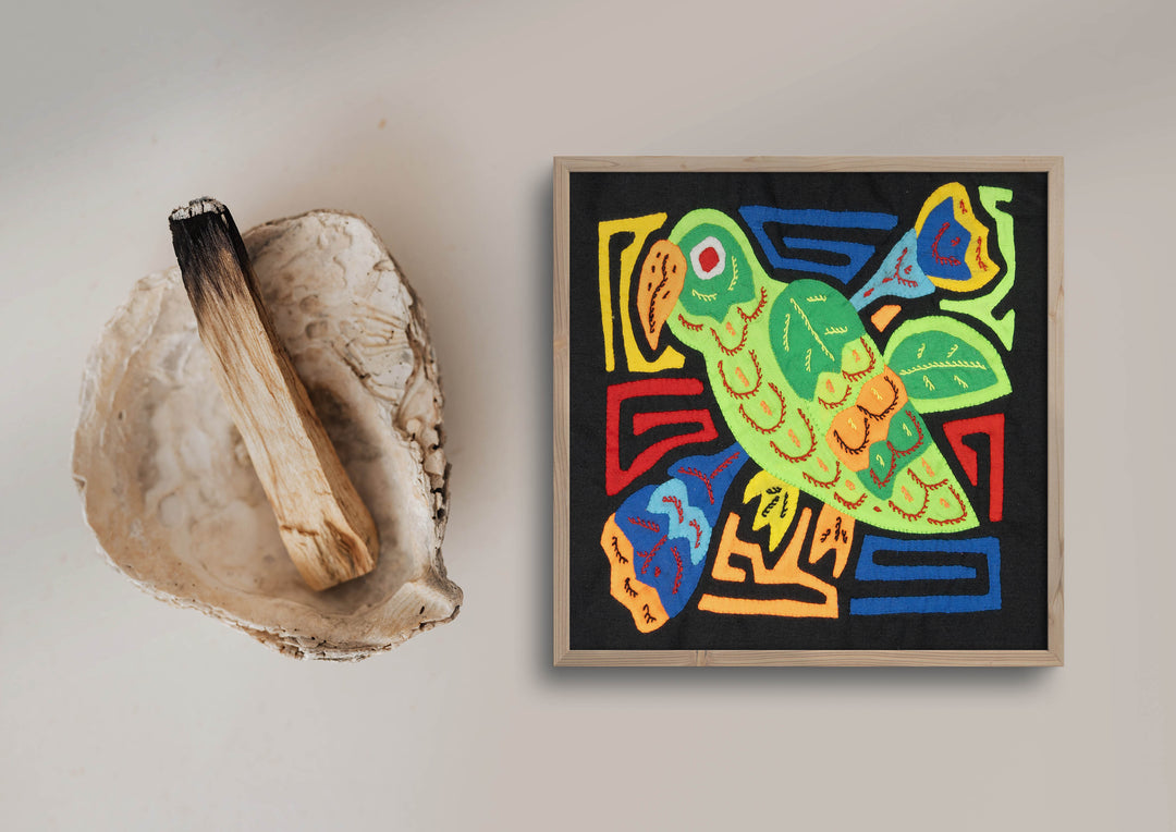 Green Parrot Bird Molita