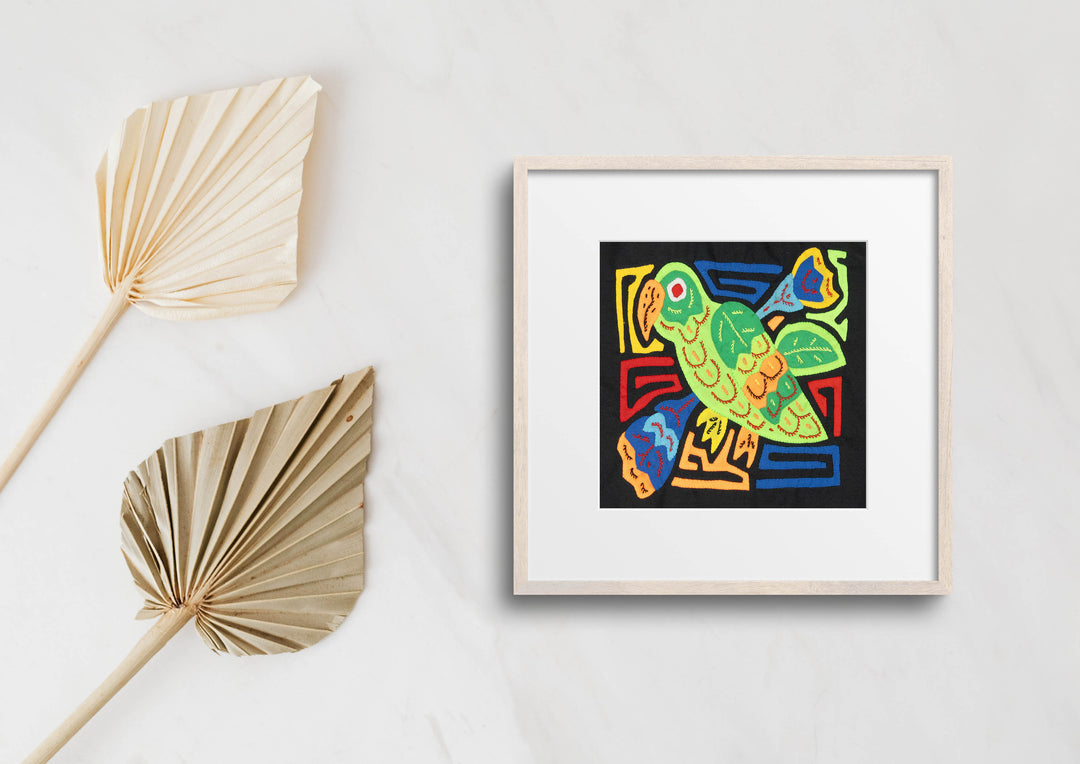 Green Parrot Bird Molita