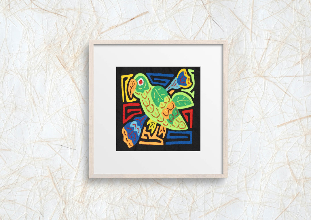 Green Parrot Bird Molita