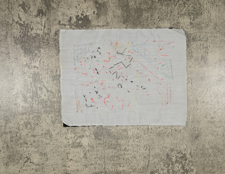 Multi-Color Parrot Bird Gray And Purple Molita