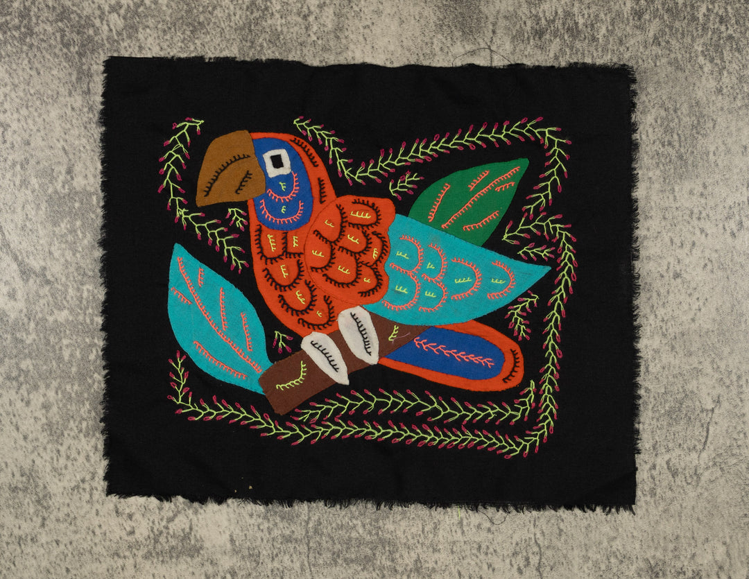 Multi-Color Parrot Bird Blue And Orange Molita