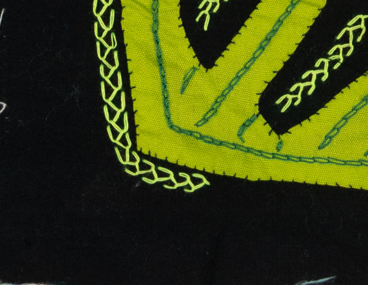 Multi-Color Parrot Bird Pink And Red Molita