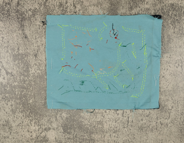 Multi-Color Parrot Bird Pink And Red Molita