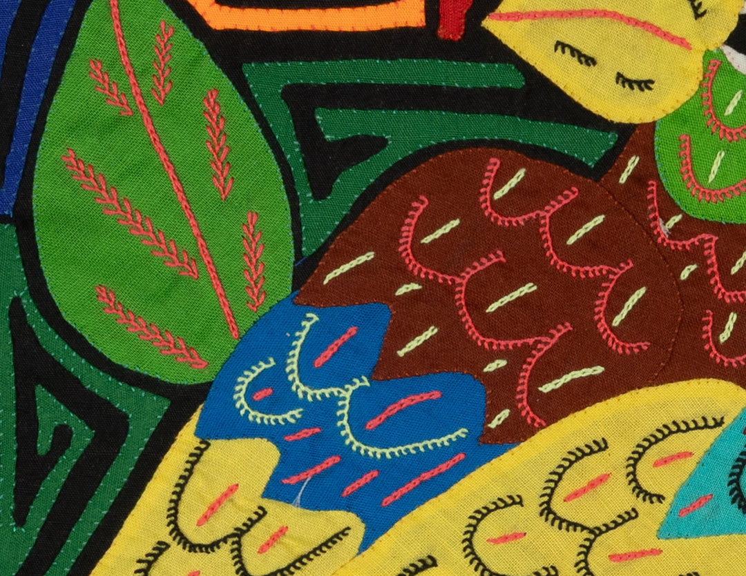 Multi-Color Parrot Bird Yellow And Brown Molita