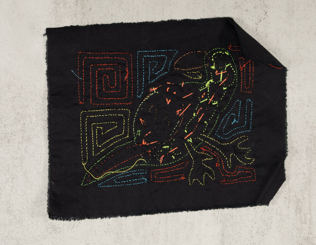 Green Parrot Bird Molita