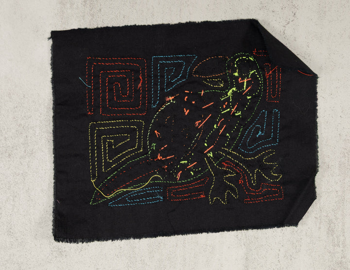 Green Parrot Bird Molita