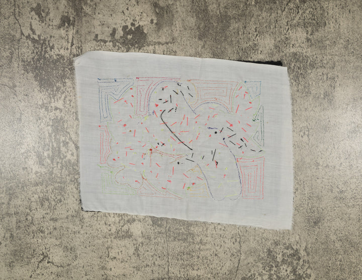 Multi-Color Parrot Bird Green And Purple Molita