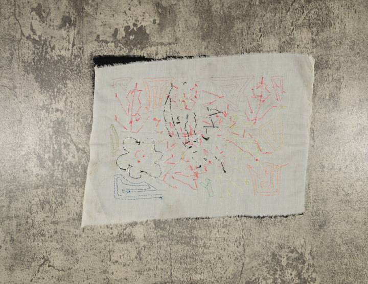 Multi-Color Parrot Bird Green And Purple Molita