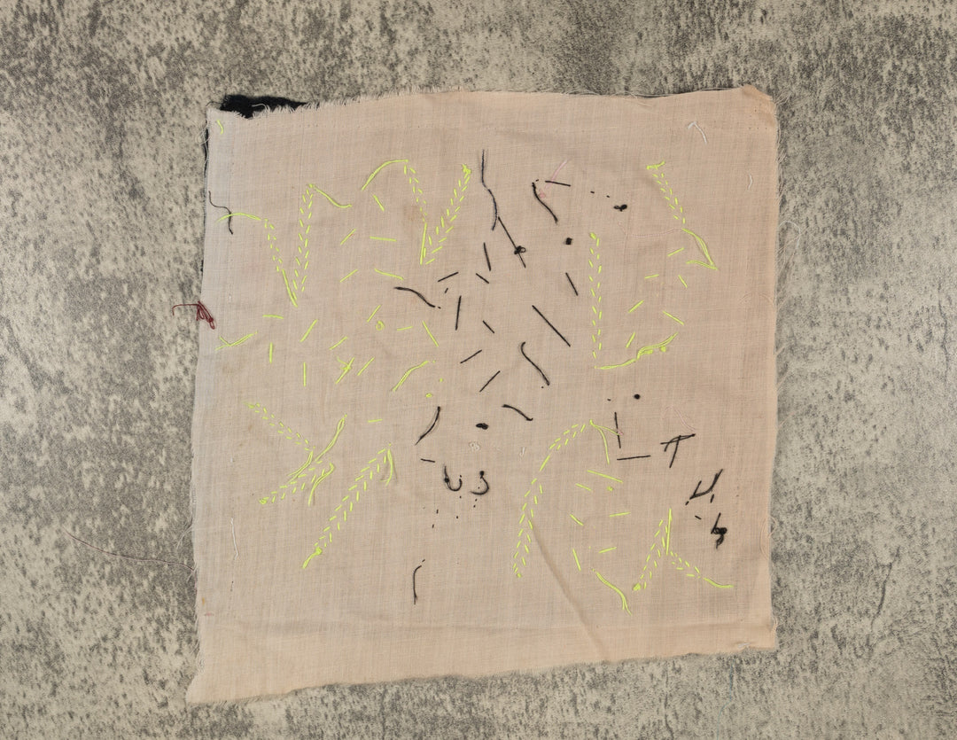 Multi-Color Parrot Bird Green And Pink Molita