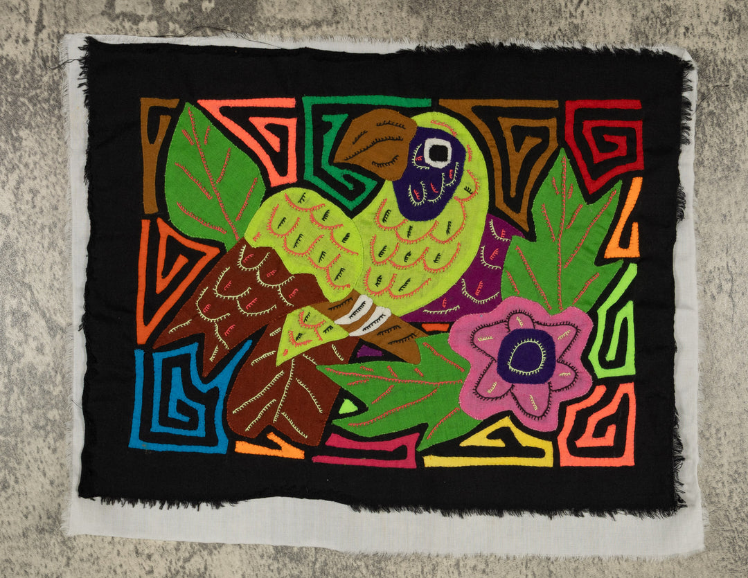 Multi-Color Parrot Bird Brown And Green Molita