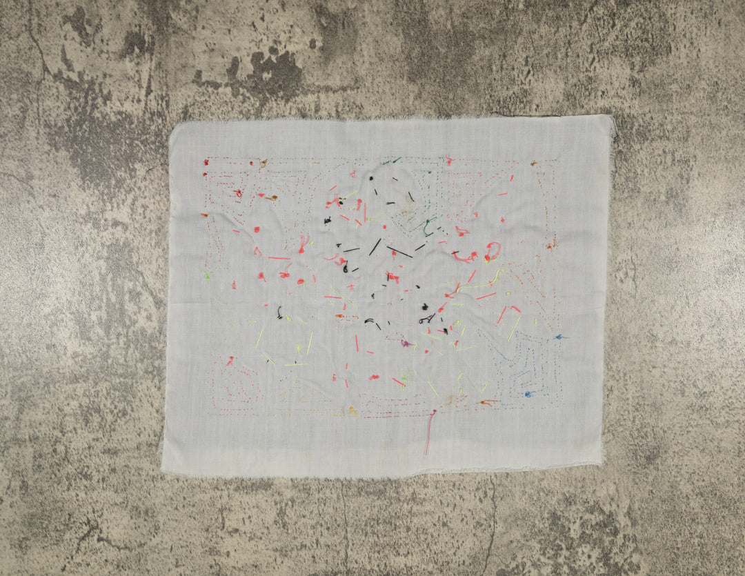 Multi-Color Parrot Bird Brown And Green Molita