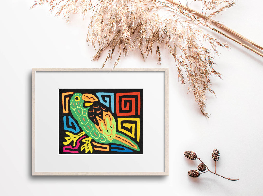 Green Parrot Bird Molita