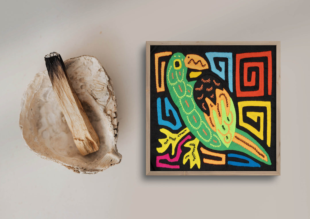 Green Parrot Bird Molita