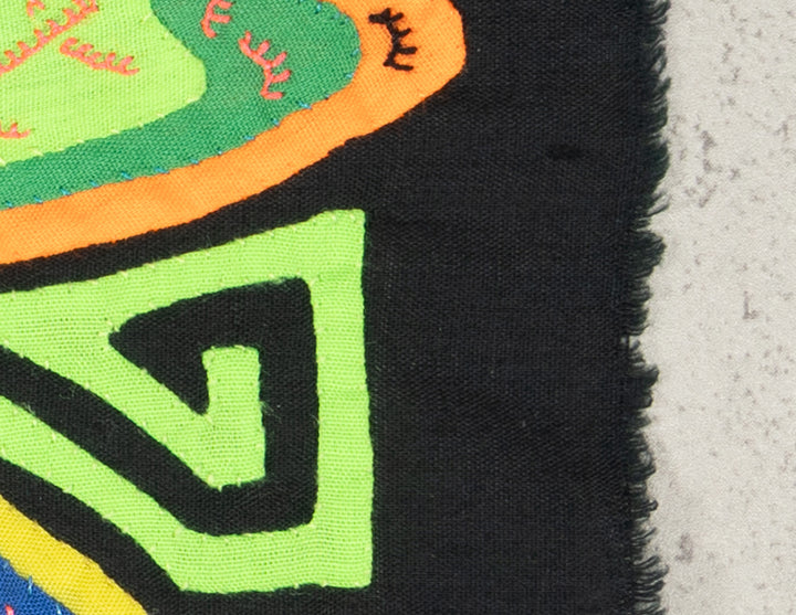 Multicolor Butterfly Molita