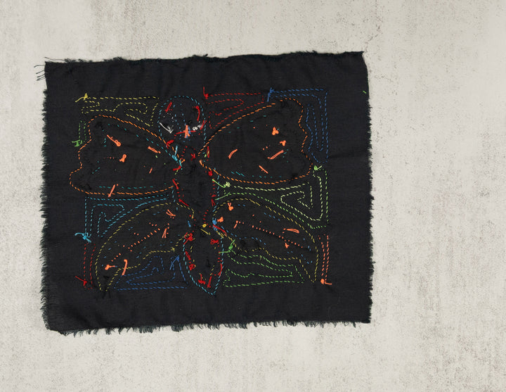 Multicolor Butterfly Molita