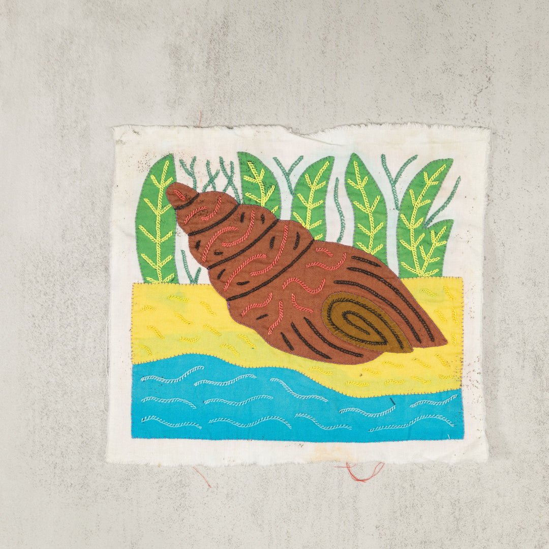 Brown And Yellow Fantasy Seashell Molita