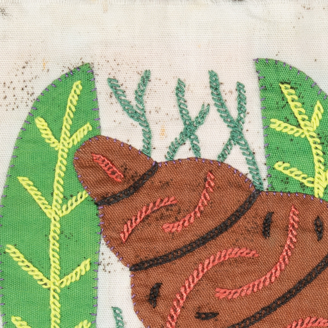 Brown And Yellow Fantasy Seashell Molita