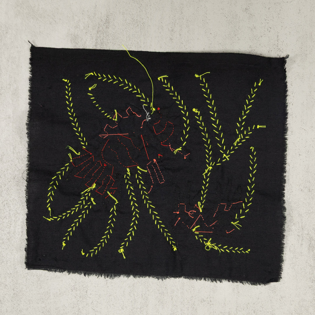 Blue And Yellow Fantasy Fish Molita