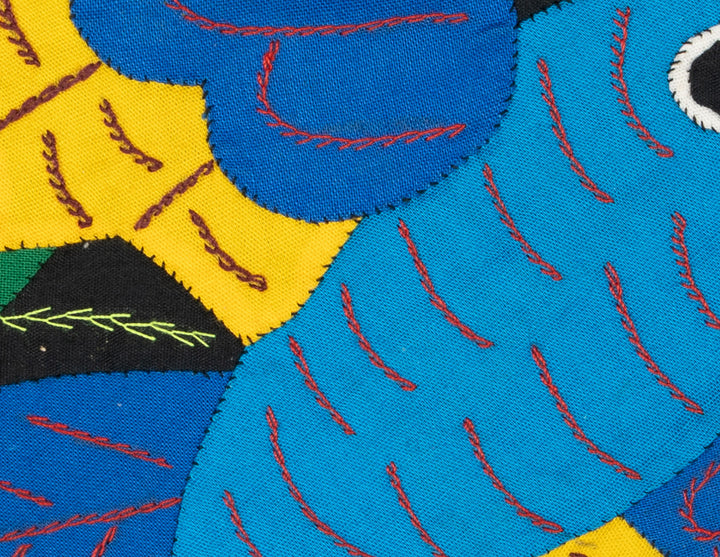 Blue Hummingbird Molita