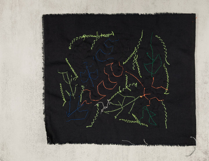 Red And Blue Hummingbird Molita