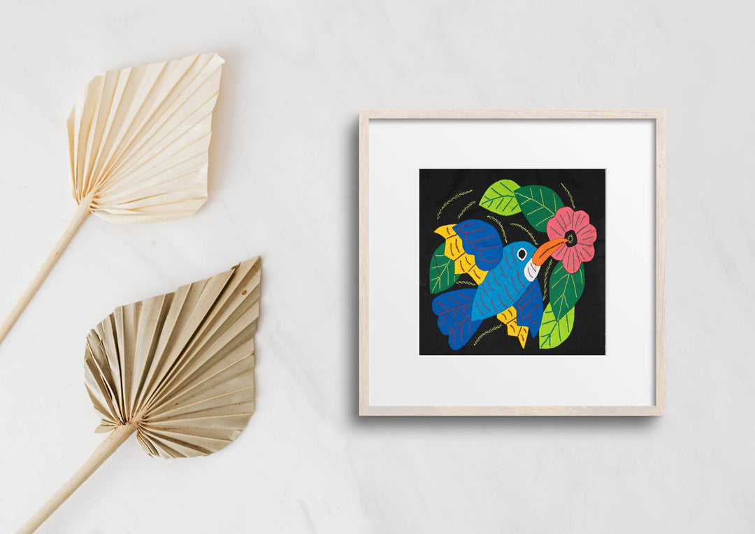 Blue Hummingbird Molita